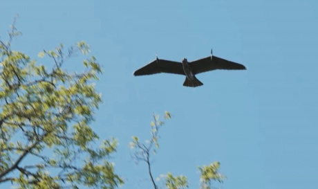 Беспилотник Evolution Eagle Беспилотник Evolution Eagle