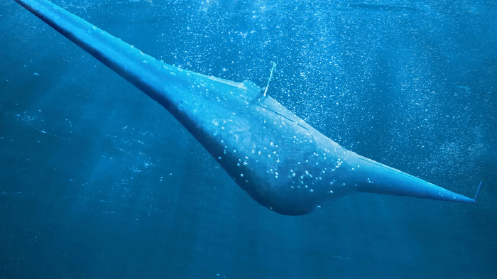 Дрон Manta Ray Дрон Manta Ray